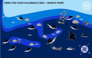 Sirru Fen Fushi Hulanghu Faru